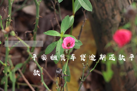 兴e贷一次性提前还款结清人工服务电话 兴e贷一次性提前还款结清人工服务电话