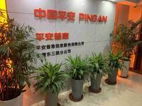 网商贷哪个服务电话能转人工服务 网商贷哪个服务电话能转人工服务